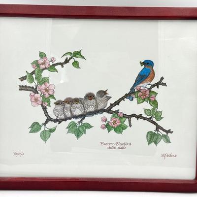 Eastern Bluebird MJ Perkins Print 30/250 Limited Edition