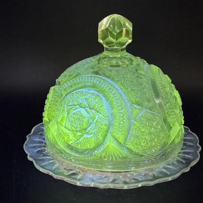 UV Reactive Covered Dish