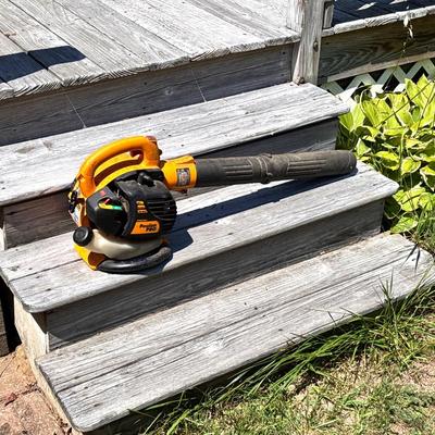Plan Pro Leaf Blower 