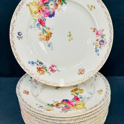 (11) Rosenthal Aida Meissen Floral Dinner Plates