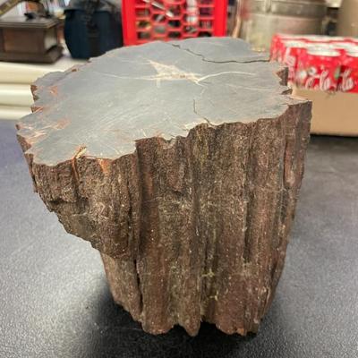 Petrified Wood