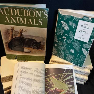 Vintage "Audubon Nature Encyclopedia" Illustrated Book Set (1960s)