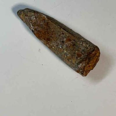 Fossilized spinosaurus tooth
