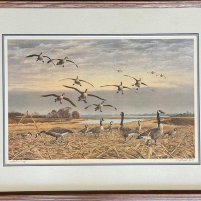 Maynard Reece Artist Proof Duck Print Signed In Wood Frame