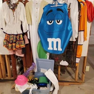 Adult Costume Collection 