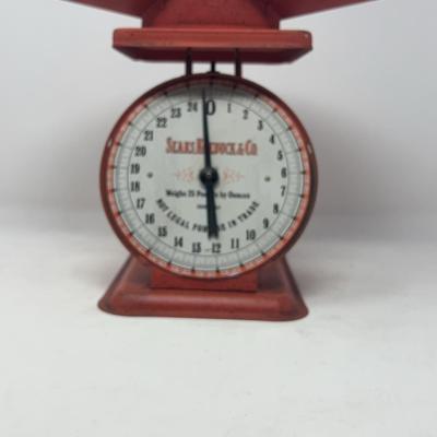 Large Red Scale 