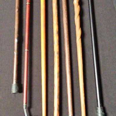 6 UNIQUE CANES AND A GOLF CLUB