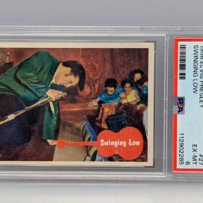 Sale Photo Thumbnail #582
