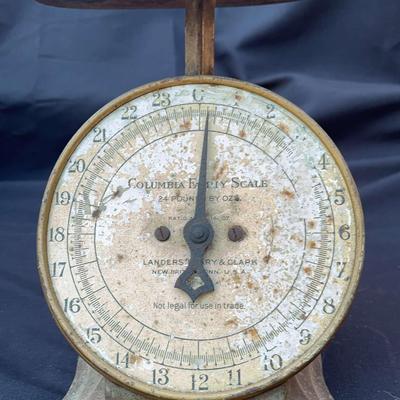 Vintage Columbia Family Scale 24 Lb. Landers Frary And Clark