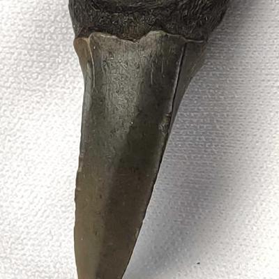 Sale Photo Thumbnail #19