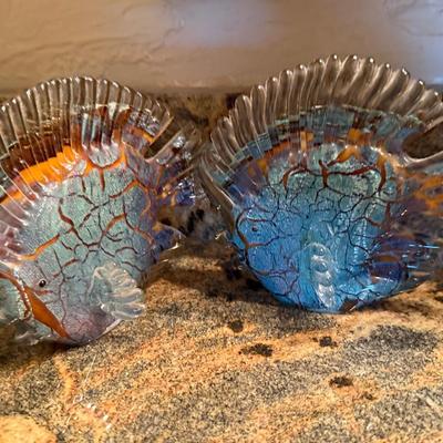 Duo Of Glass Fish