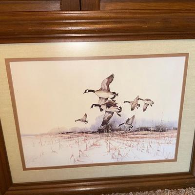 Framed Wildlife Print 