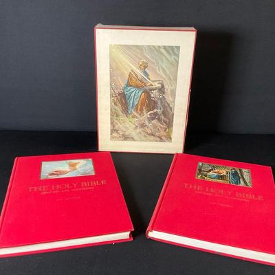 The Holy Bible Illustrated 