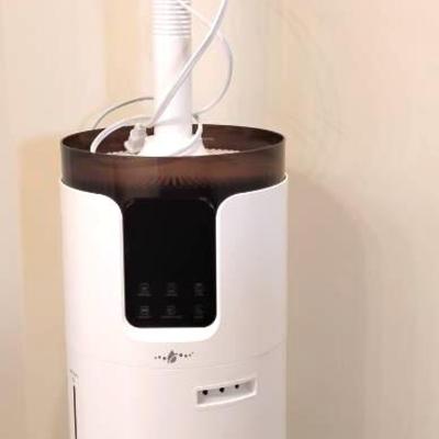 Humidifier & Steamer