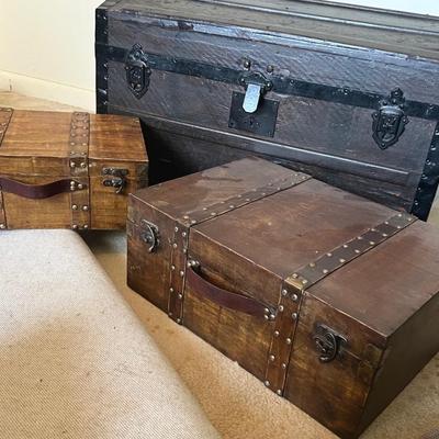Wood Trunks -3