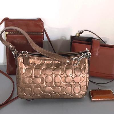 Coach Mini Metallic Embossed Leather Purse With Leather Accessories 