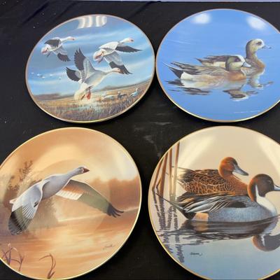 Duck collectible plates