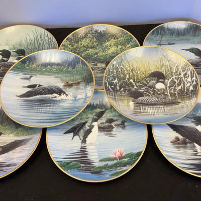 Loon Collectors Plates