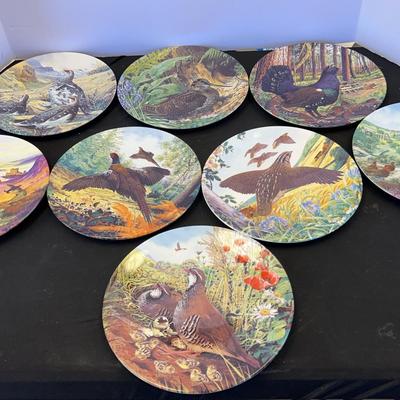 Royal Grafton Gamebird collector plates