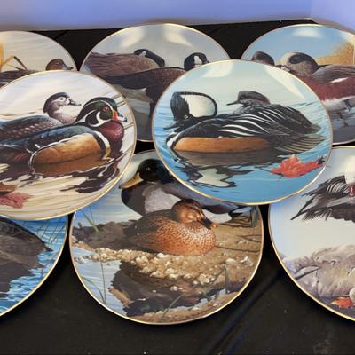 American Water, Birds Collector Plates