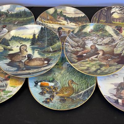 Living with nature: Jerner’s ducks plate collection