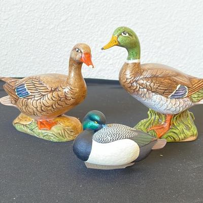Ducks 