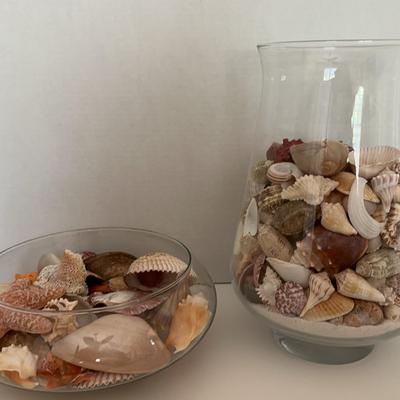 2Lovely Vases With Shells