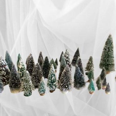 Box Full Of Frosted Topiary Trees