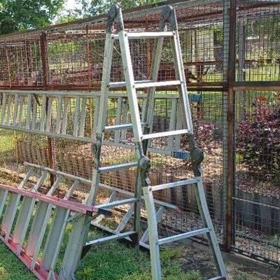 Lot of Extension Ladders and Step Ladder