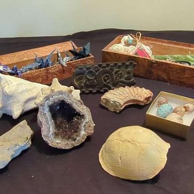 Mixed Collection – Rocks, Seashells, Petrified Wood & Possible Berlin Wall Fragment