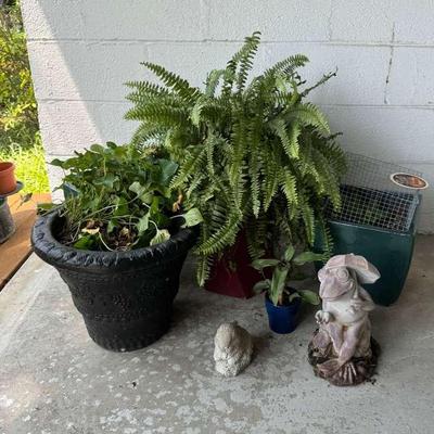 Outdoor Plant & Garden Decor Lot – Potted Ferns, Planters & Statues