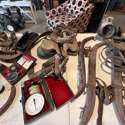 Sale Photo Thumbnail #373