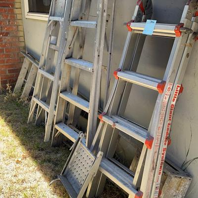 Little Giant Ladder, Step Ladder And 2 Metal Ladders 