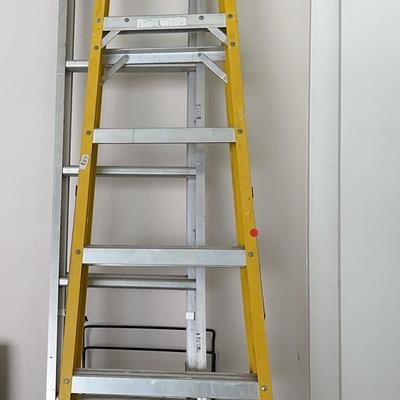 Werner 8ft Ladder And 16-48ft Extension Ladder
