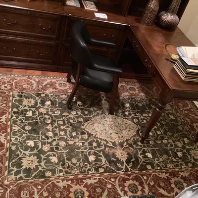 Large Hand Knotted Area Rug