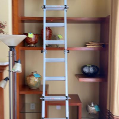 Adjustable 10 Foot Ladder