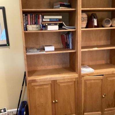 Light Wood Bookcase #2