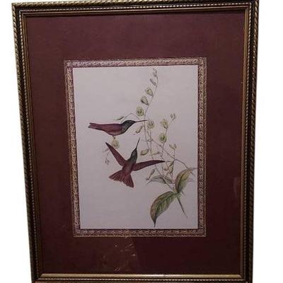 3 Vintage Bird Framed And Matted Prints 