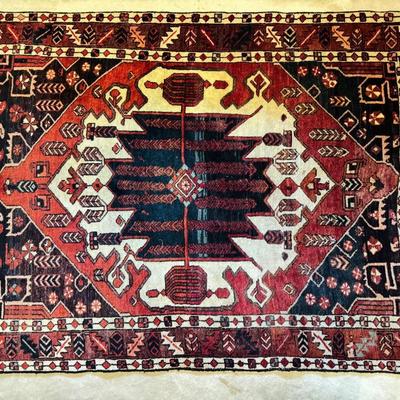 Hand Knotted Bakhrigri Wool Rug (6’5.5” x 4’10”)