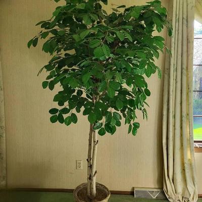 Faux Tree (LR)