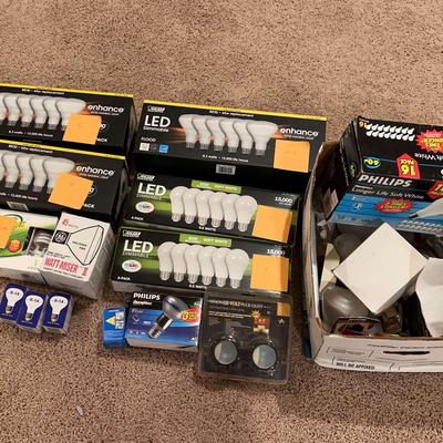 Mystery Lightbulb Lot