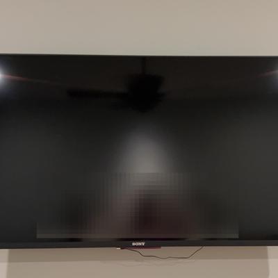 Sony 50” TV