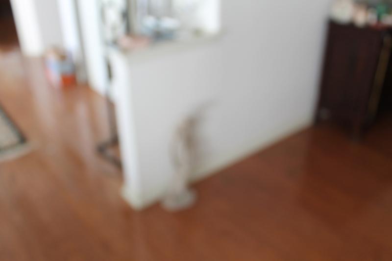 Sale Photo Thumbnail #19