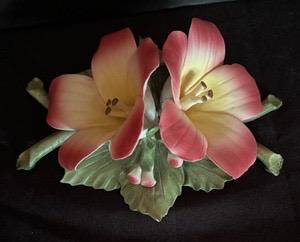 Sale Photo Thumbnail #104