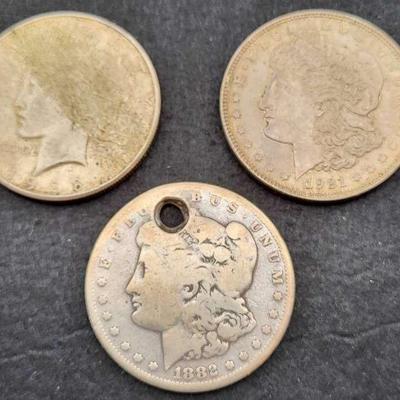 Morgan and Peace Silver Dollars
