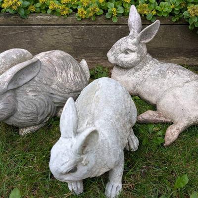 Rabbit Trio