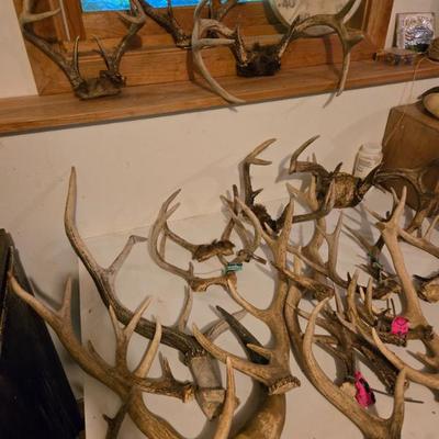 Sale Photo Thumbnail #187