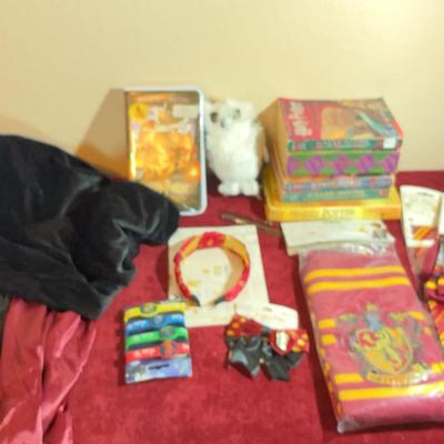 Harry Potter Lot