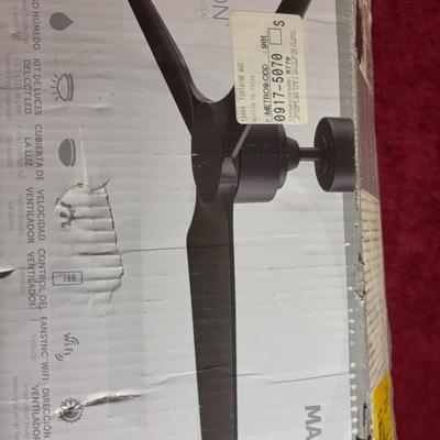 Ceiling Fan 