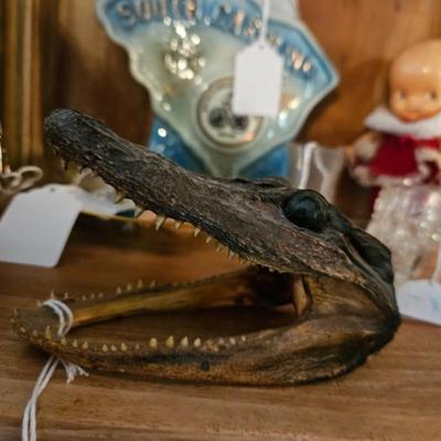 Sale Photo Thumbnail #81